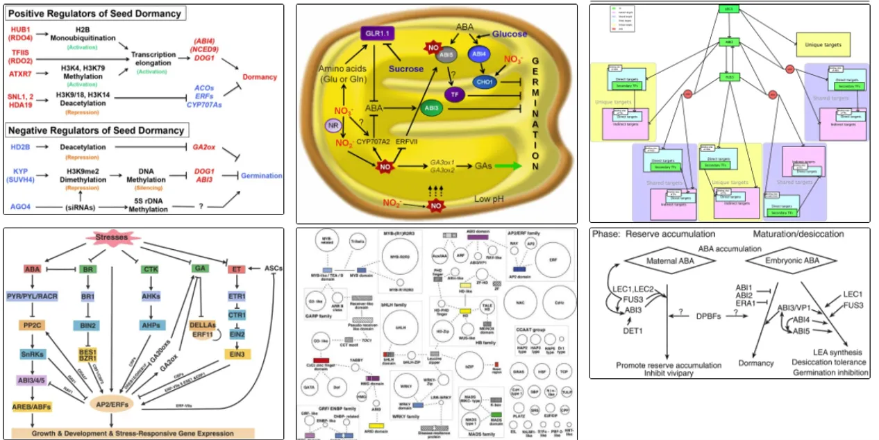 Thumbnail image for Publication Figure Retrieval